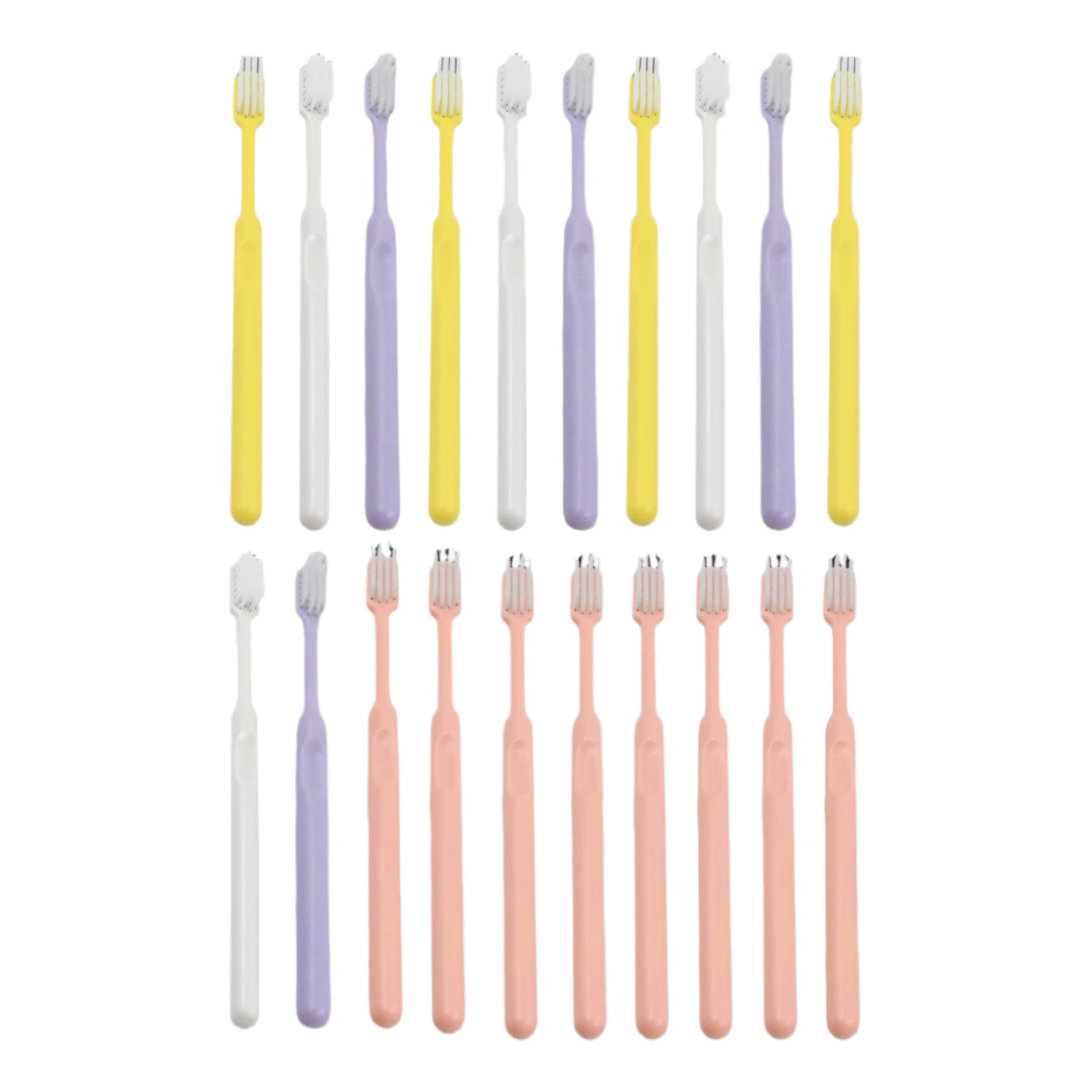 Soft Plastic Toothbrush Set – 20 Pcs with Travel Box | BrushedUp