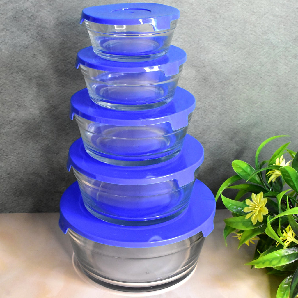 ALVENZA Glass Bowl Set – 5-Piece Modern Storage | Organivo