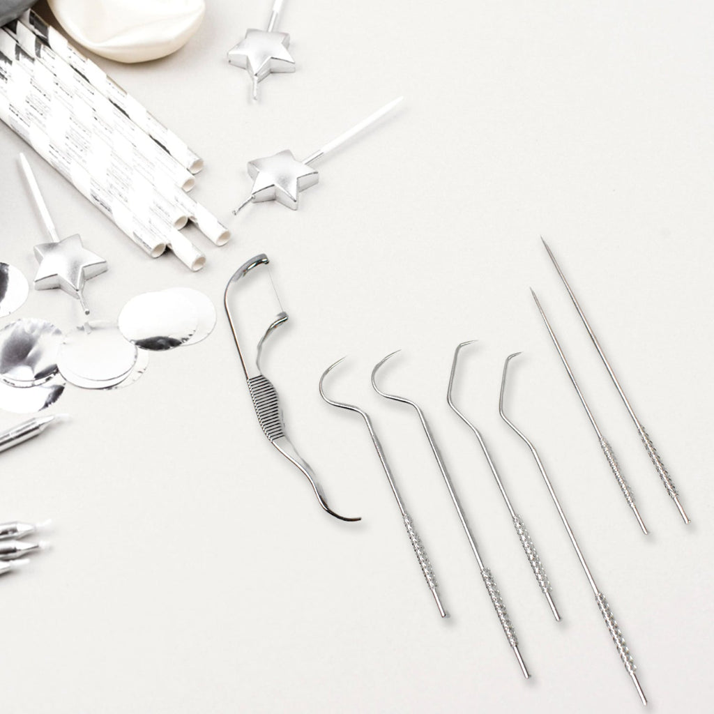Stainless Steel Toothpick Set – 7-in-1 Portable Dental Kit | AuriGlam