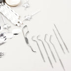 Stainless Steel Toothpick Set – 7-in-1 Portable Dental Kit | AuriGlam