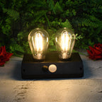 Solar LED Lamp Double Bulb Outdoor Garden Light