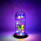 ALVENZA LED Preserved Rose – Romantic Decorative Light with Butterfly