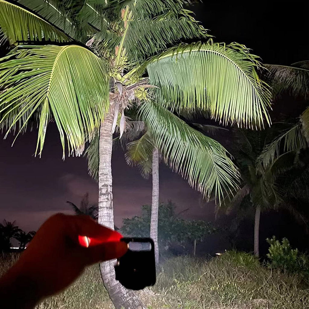 ALVENZA Keychain Flashlight – LED, Folding Bracket & Bottle Opener | DeoDap