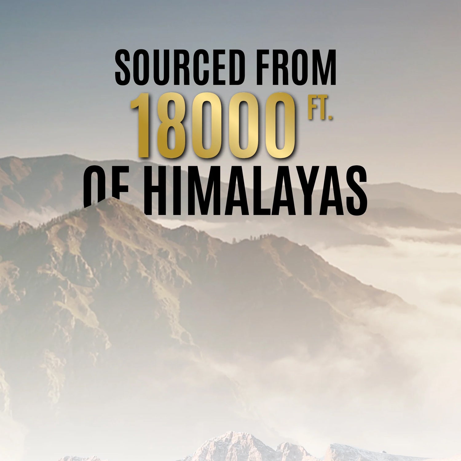 Pure Himalayan Shilajit Resin – Natural Energy & Immunity Booster