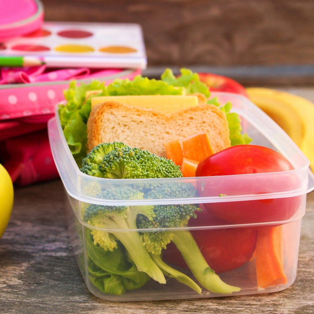Plastic Lunch Box Set 3-Piece Square Storage | Konvex - Back View