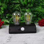 Solar LED Lamp Double Bulb Outdoor Garden Light - Detail View 5