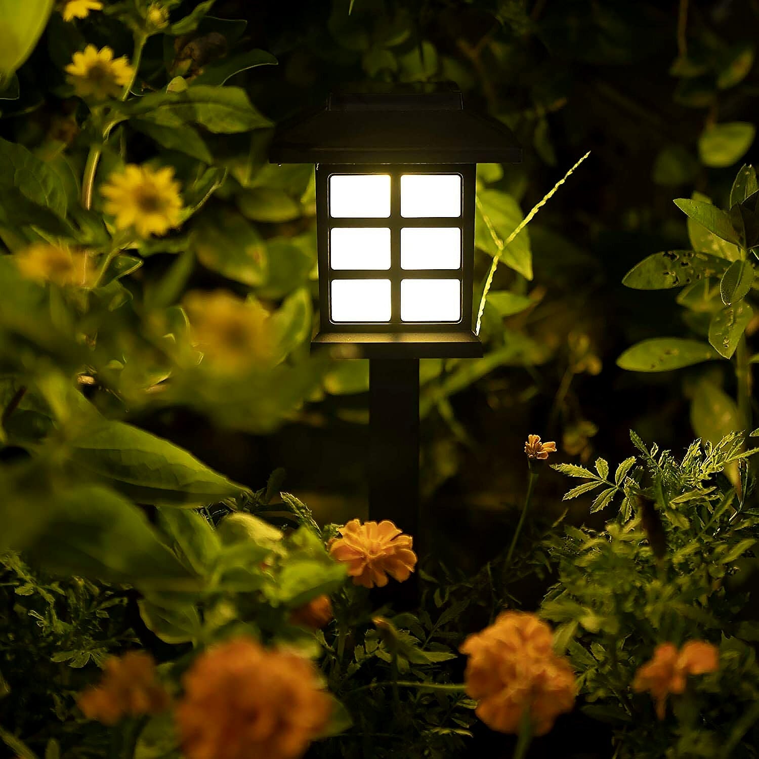 ALVENZA Solar Garden Lights – Waterproof Outdoor Landscape (2-Pack) | Garden Vera