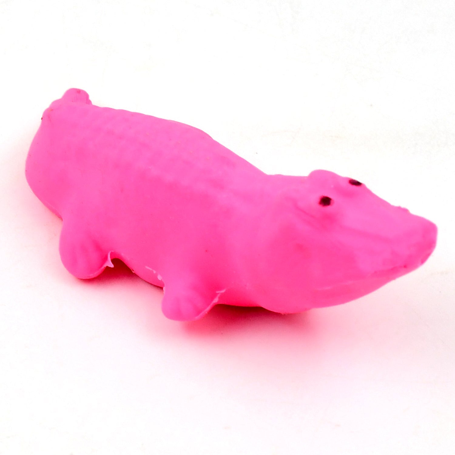 Animal Eraser for Kids Cute & Educational Stationery | Writezo - Detail View 6