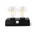 Solar LED Lamp Double Bulb Outdoor Garden Light - Back View
