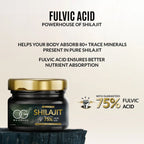 Pure Himalayan Shilajit Resin – Natural Energy & Immunity Booster