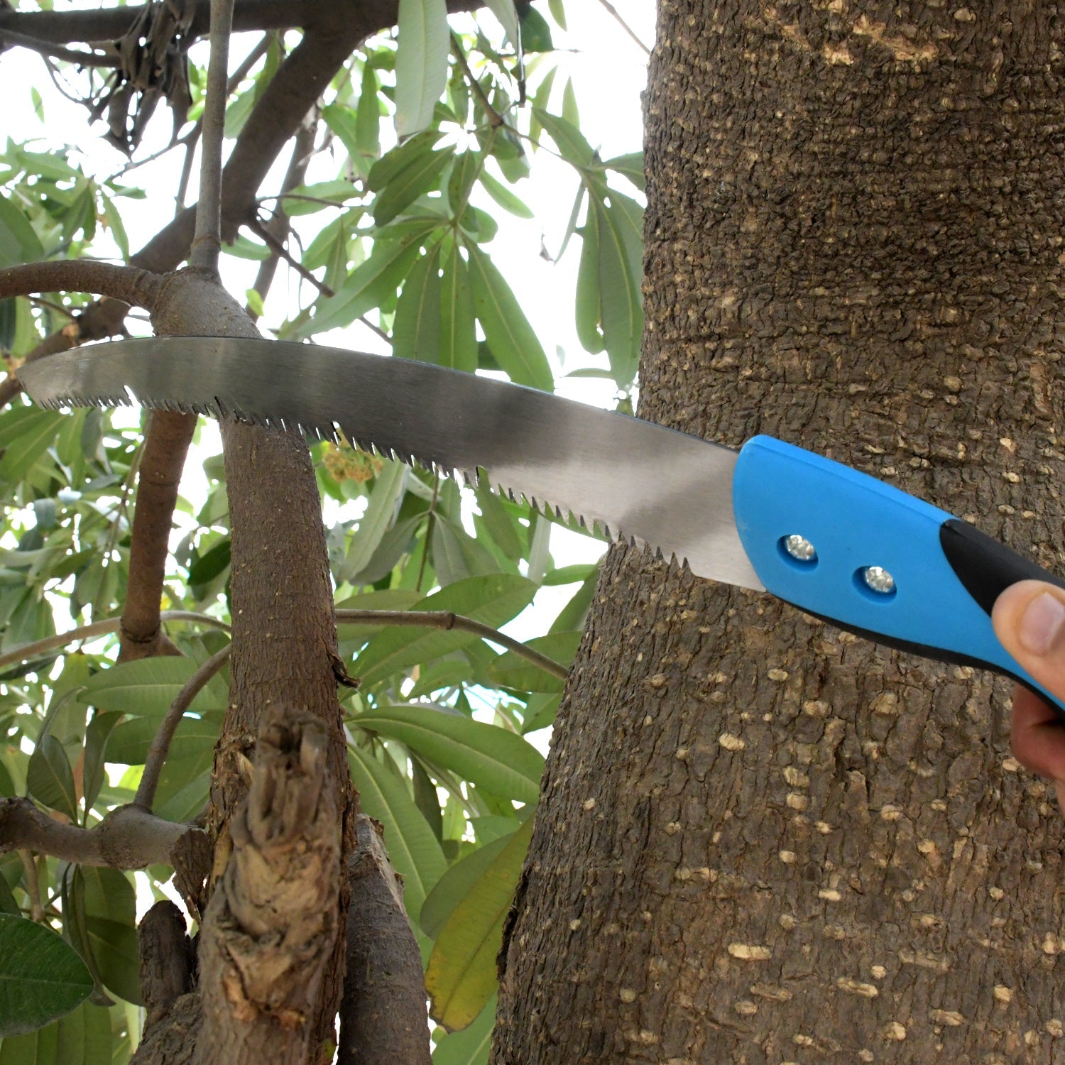 ALVENZA Pruning Saw – 20-Inch High Carbon Steel, Sharp Teeth | Grow Garden Tools