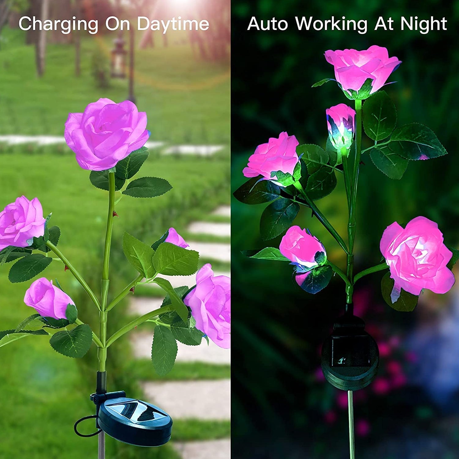 ALVENZA Solar Garden Rose Lights – Waterproof RGB Color Changing | FitFuzion
