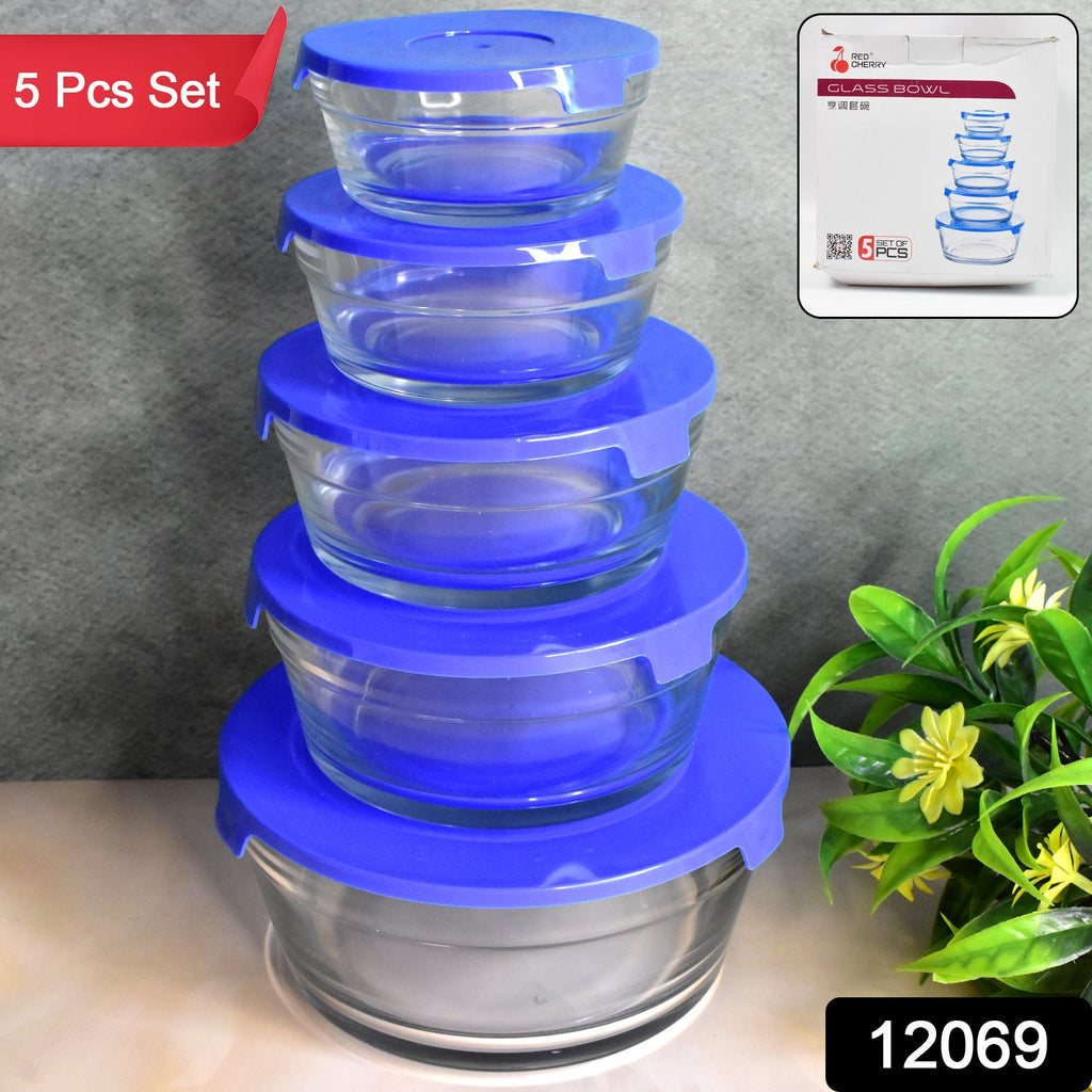 ALVENZA Glass Bowl Set – 5-Piece Modern Storage | Organivo