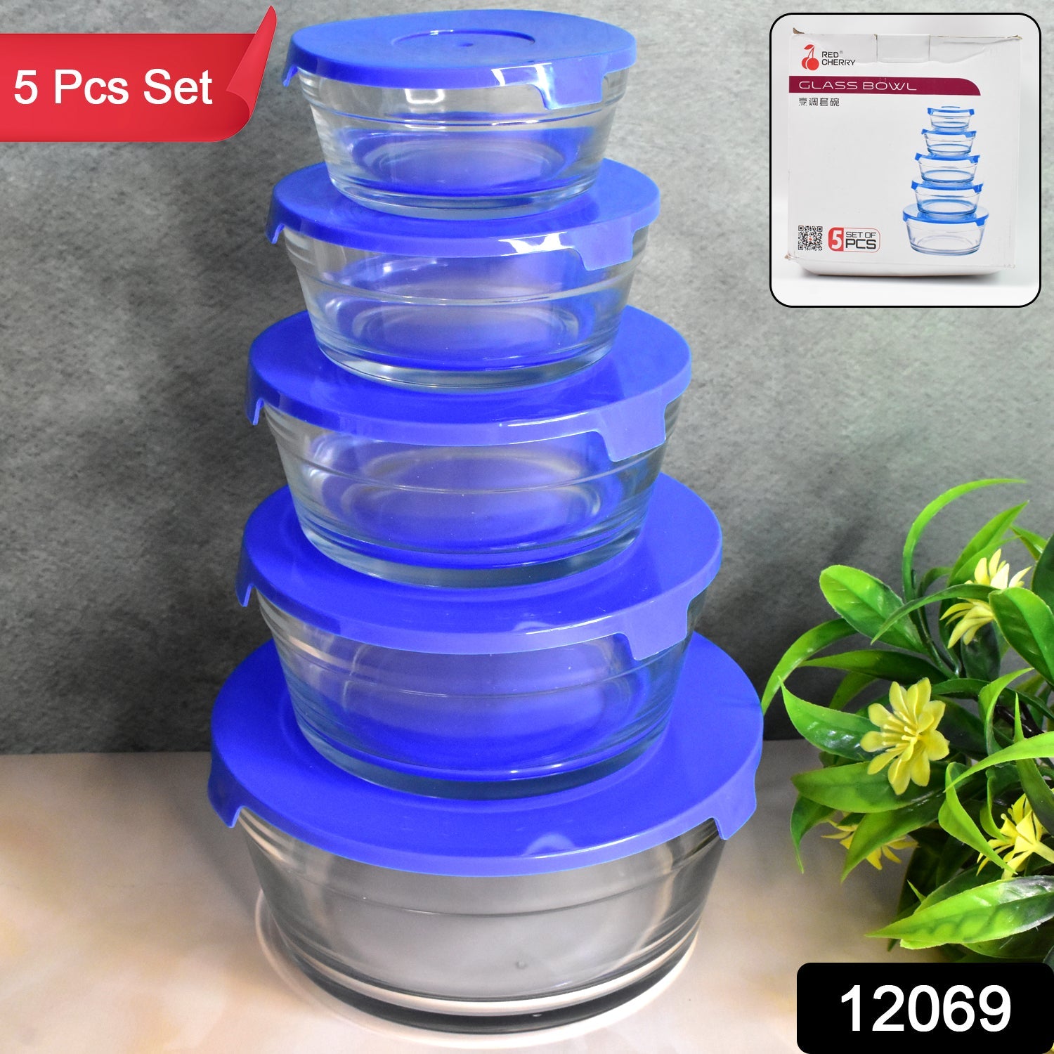 ALVENZA Glass Bowl Set – 5-Piece Modern Storage | Organivo