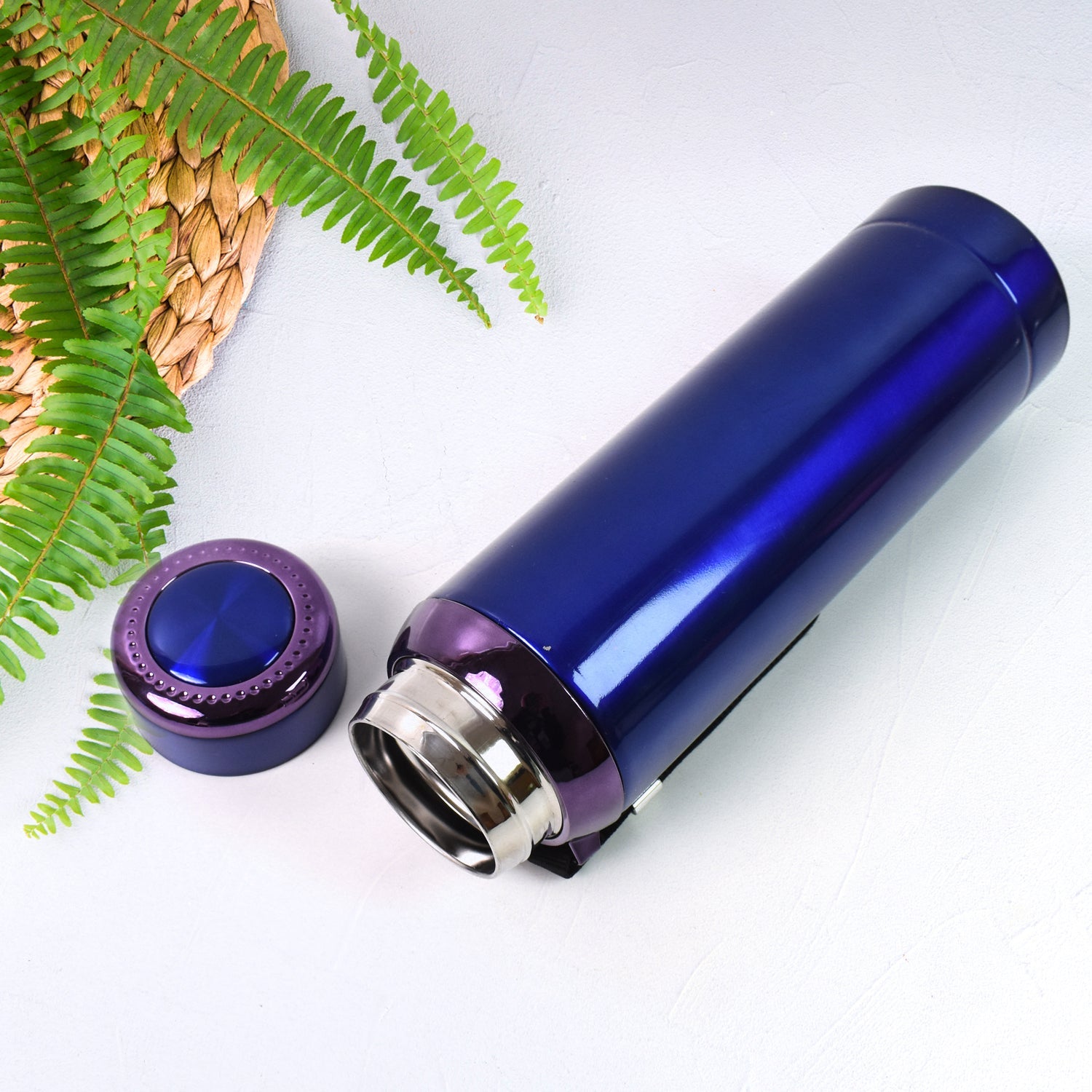 ALVENZA Vacuum Insulated Stainless Steel Bottle – Keeps Drinks Hot or Cold