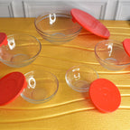 ALVENZA Glass Bowl Set – 5 Pcs Mixing & Storage with Lids | Organivo