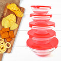 ALVENZA Glass Bowl Set – 5 Pcs Mixing & Storage with Lids | Organivo