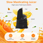 Manual Plastic Juicer Easy, Compact & Durable for Fresh Juices - Back View