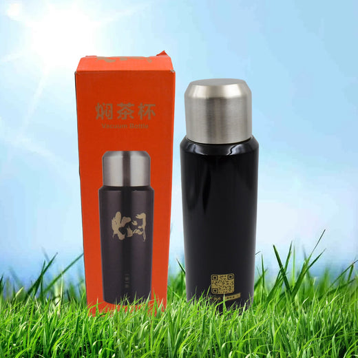 ALVENZA 600ml Insulated Thermal Bottle – Hot & Cold Steel Flask | Indo Glow