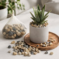 Decorative Natural Pebbles Smooth River Stones for Home & Garden