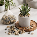 Decorative Natural Pebbles Smooth River Stones for Home & Garden