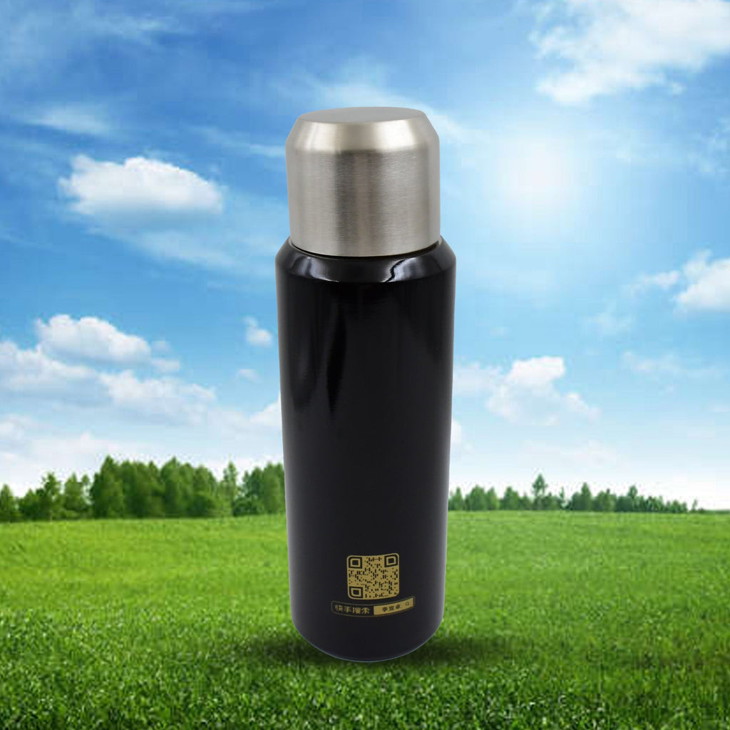 ALVENZA 600ml Insulated Thermal Bottle – Hot & Cold Steel Flask | Indo Glow