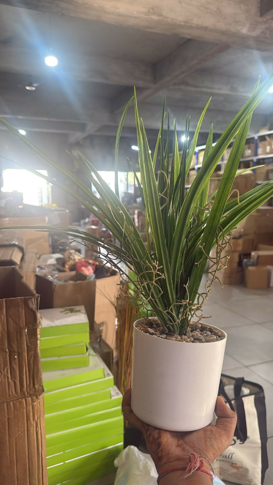 ALVENZA Artificial Indoor Tabletop Plant – Realistic and Maintenance-Free