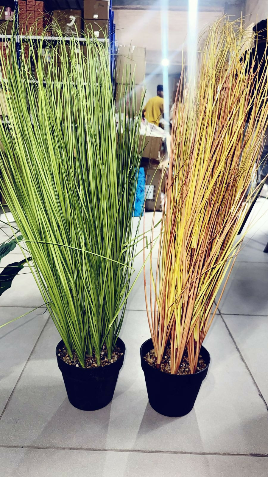 ALVENZA Decorative Artificial Grass Plant – Modern Style & Low Maintenance