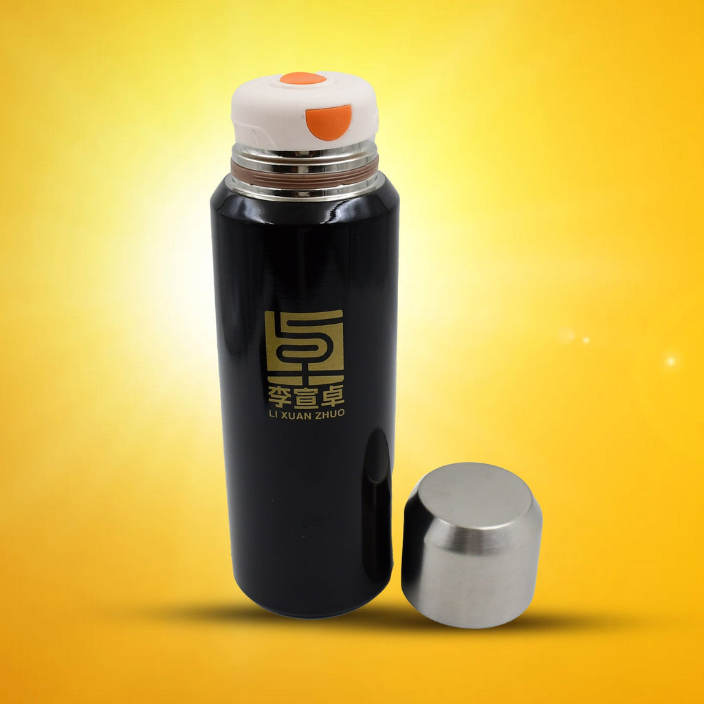 ALVENZA 600ml Insulated Thermal Bottle – Hot & Cold Steel Flask | Indo Glow