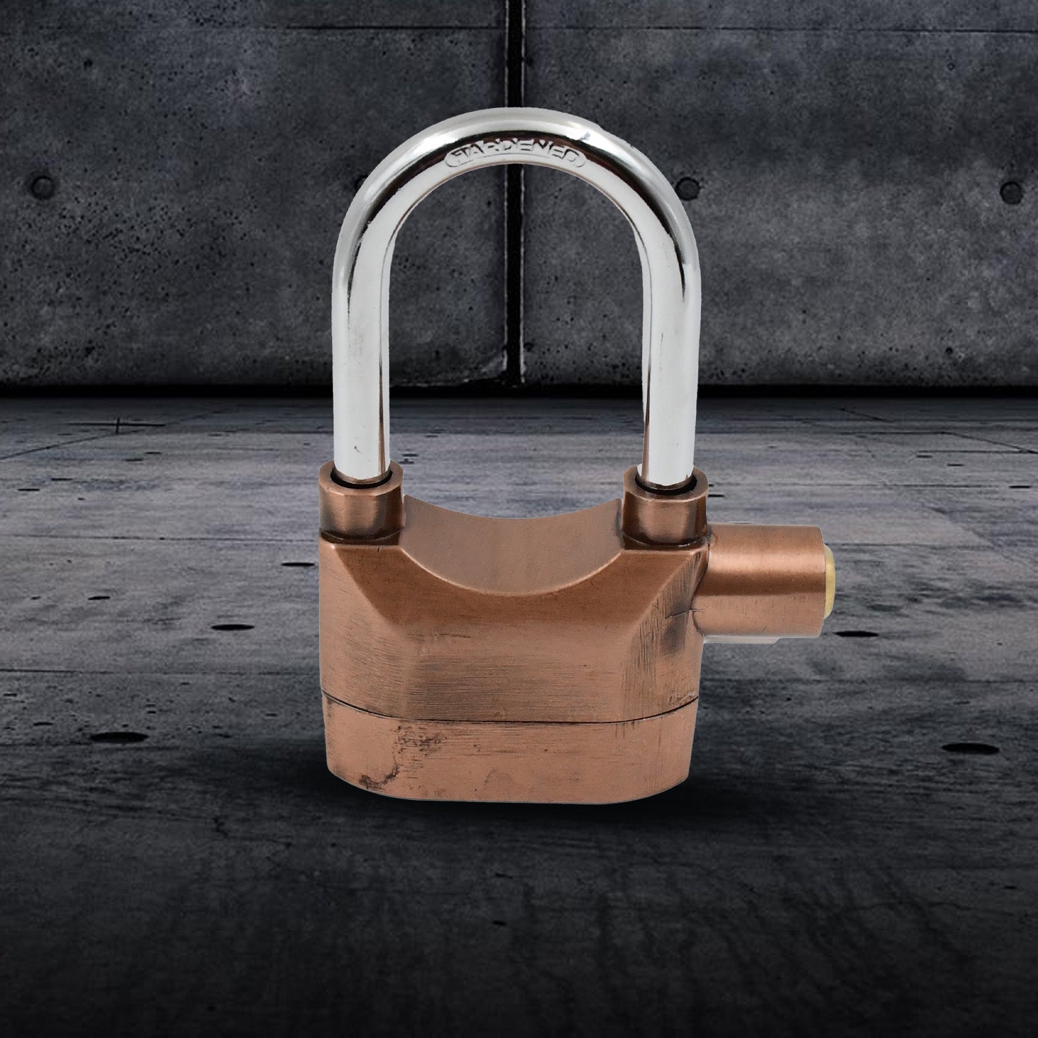 ALVENZA Security Alarm Lock – Waterproof Anti-Theft Padlock | AutoSafeo