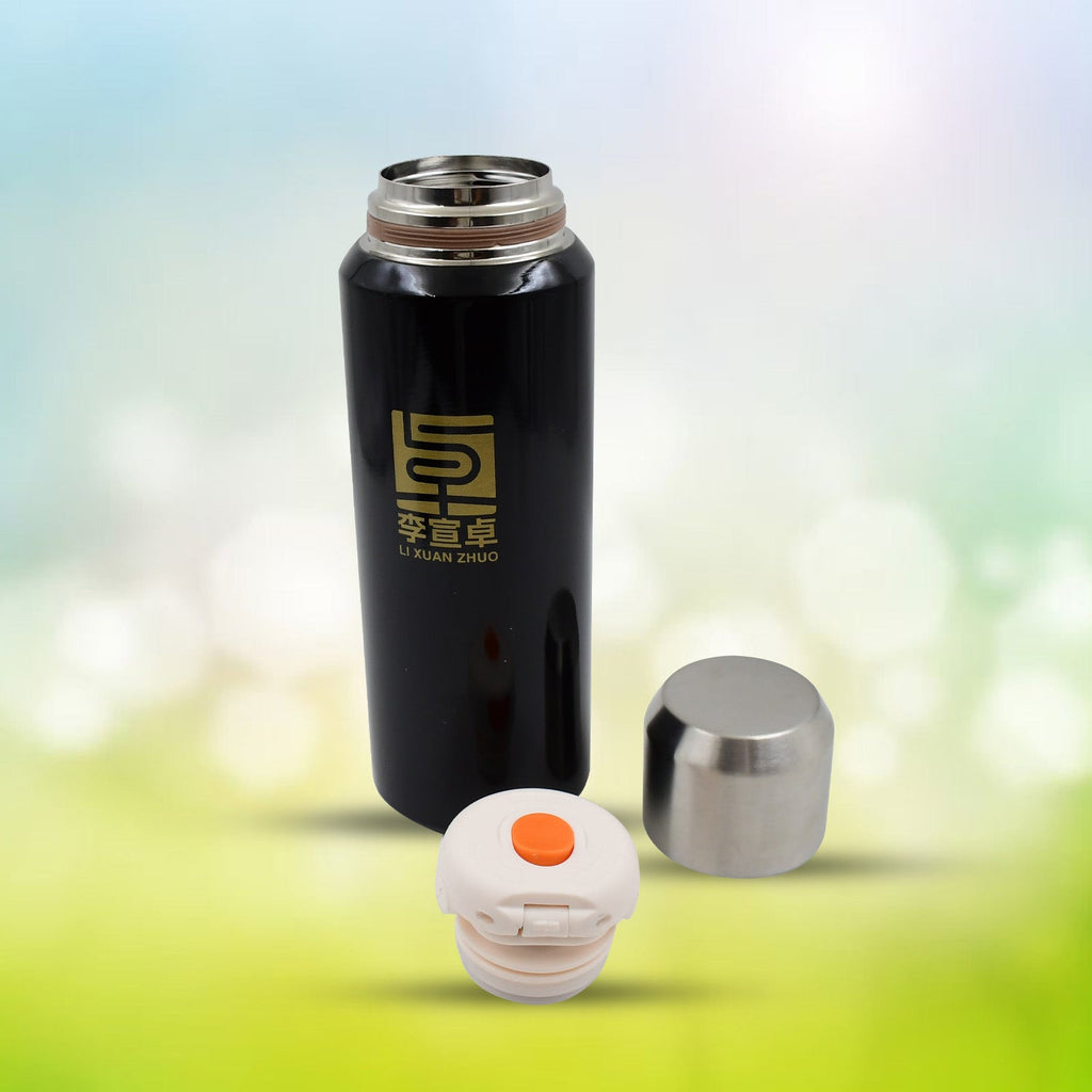 ALVENZA 600ml Insulated Thermal Bottle – Hot & Cold Steel Flask | Indo Glow