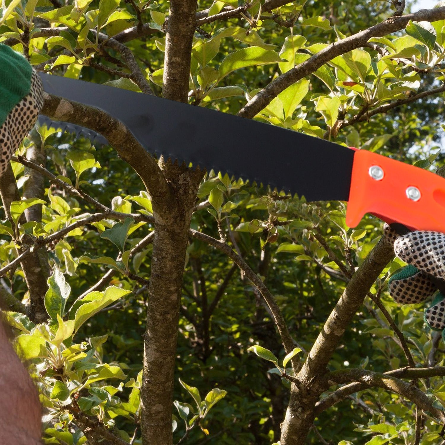 ALVENZA Hand Pruning Saw – Efficient Tree Branch Cutter | Grow Garden Tools