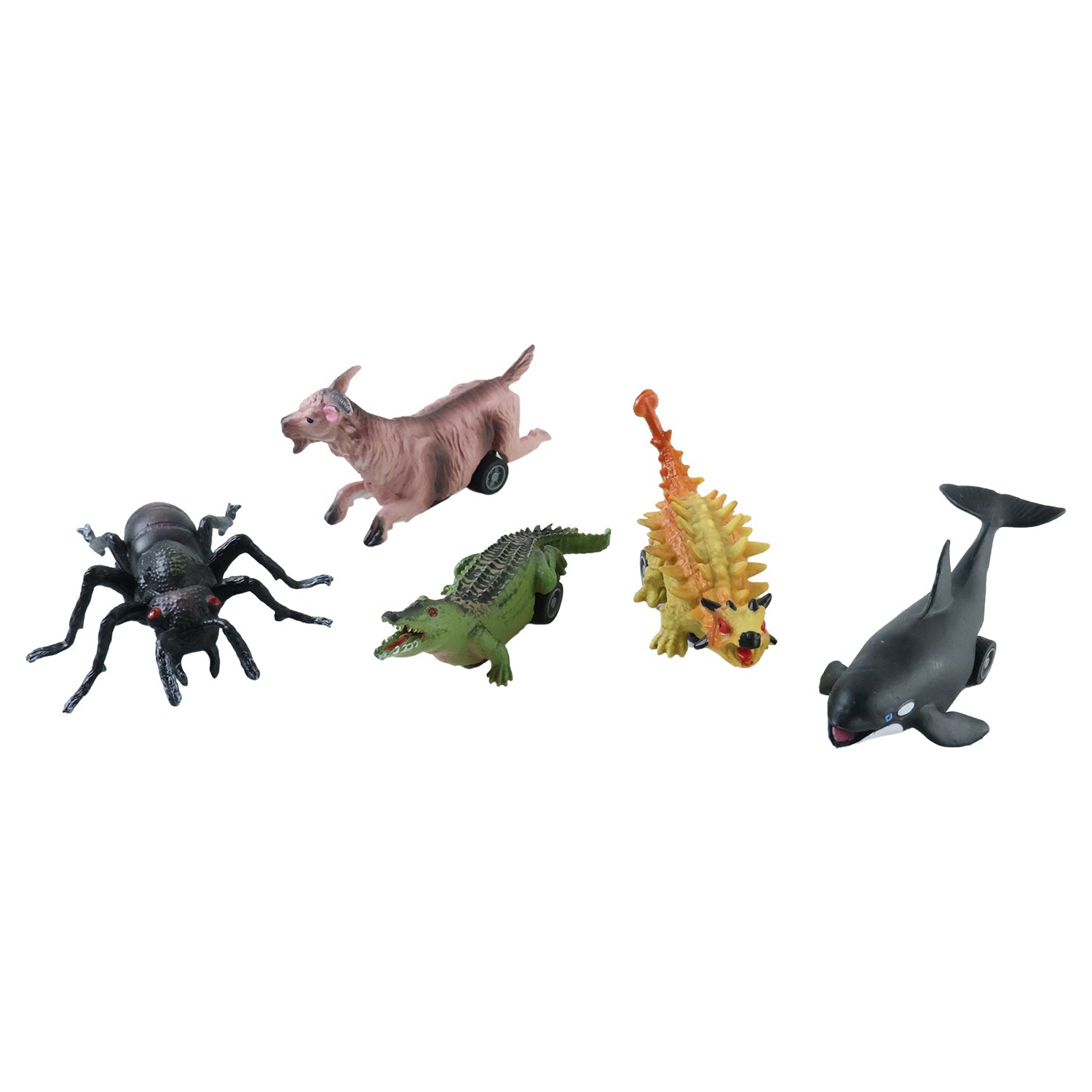 Kids Animal Pull Back Toy Fun Rolling Motion & Imaginative Play - Back View
