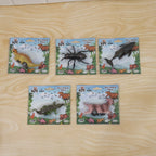 Kids Animal Pull Back Toy Fun Rolling Motion & Imaginative Play - Detail View 8