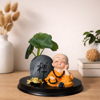 ALVENZA Zen Monk Showpiece – Lucky Money Frog with Mini Planter Decor