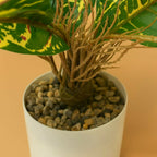 ALVENZA Artificial Leaf Plant – Low Maintenance Home & Office Decor