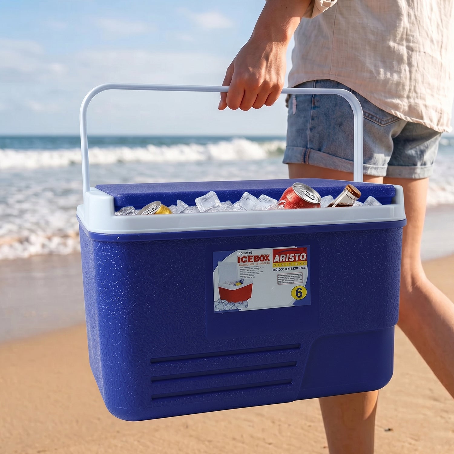 ALVENZA Portable 6L Ice Cooler Box – Keeps Drinks Chilled Outdoors