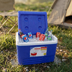 ALVENZA Heavy Duty Insulated Ice Box – 3 Litre Portable & Durable