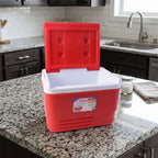 ALVENZA Heavy Duty Ice Box Cooler – 6 Ltr Travel & Outdoor Use