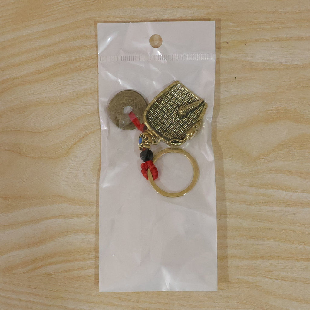 ALVENZA Feng Shui Lucky Coin Keychain – Prosperity and Good Fortune
