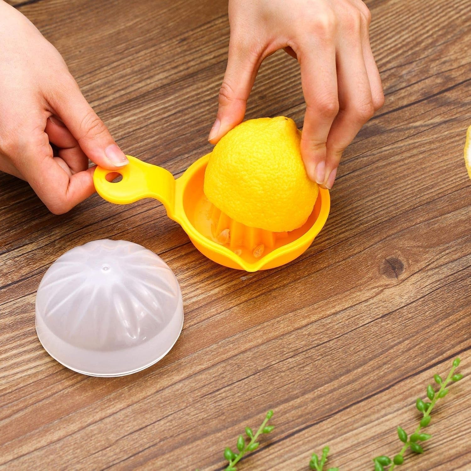 Hand-Operated Citrus Juicer Compact, Easy to Use & Mess-Free - Front View