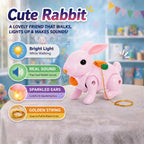 ALVENZA Crawling Rabbit Toy – Musical with Lights & Sounds for Kids