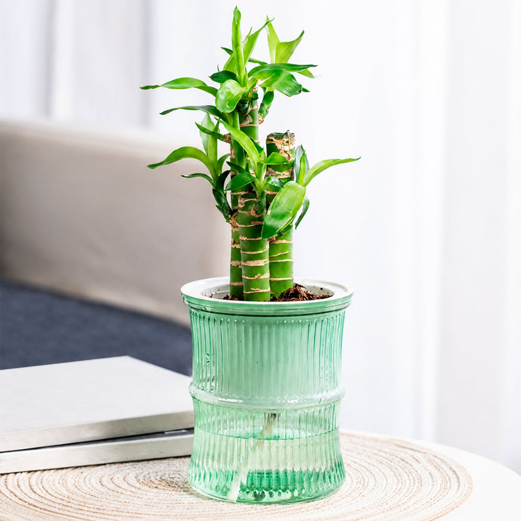Self-Watering Bamboo Style Plastic Flower Pot Easy Indoor Plant Care - Front View