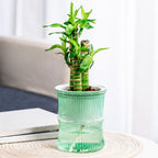 Self-Watering Bamboo Style Plastic Flower Pot Easy Indoor Plant Care - Front View
