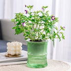 Self-Watering Bamboo Style Plastic Flower Pot Easy Indoor Plant Care - Detail View 5