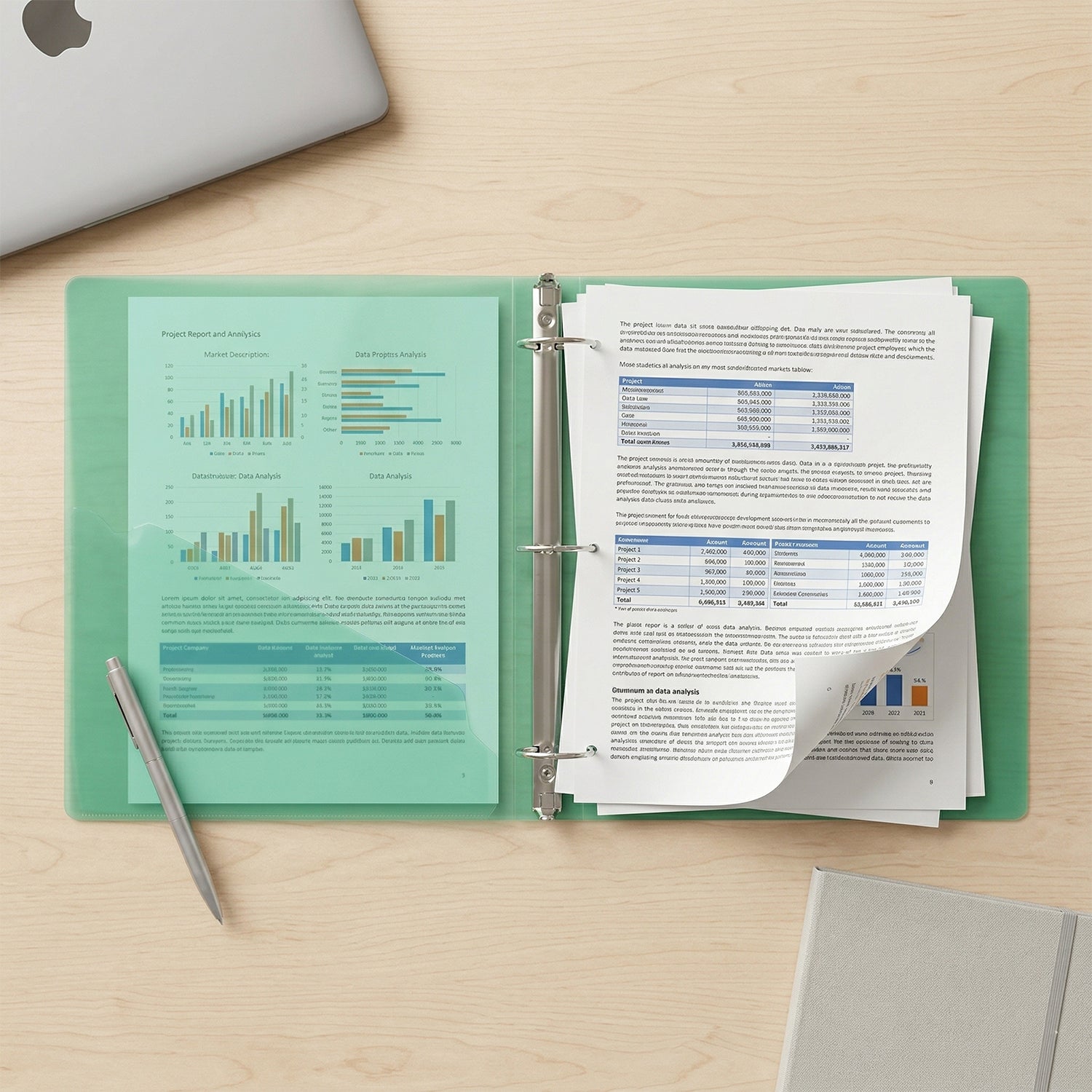 A4 Size Transparent Ring Binder Folder Durable for Document Organization