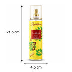 Sandalwood Room & Car Freshener Long-lasting Natural Fragrance - Detail View 6
