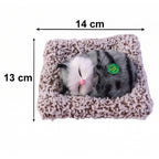 ALVENZA Cute Plush Cat Showpiece – Perfect for Car & Home Decor