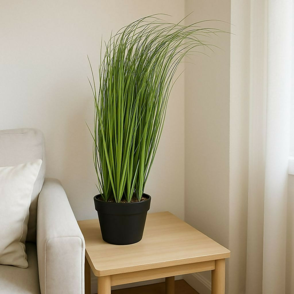 ALVENZA Decorative Artificial Grass Plant – Modern Style & Low Maintenance