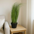 ALVENZA Decorative Artificial Grass Plant – Modern Style & Low Maintenance